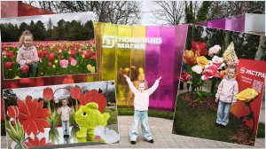 Тюльпаномагия в Краснодаре / Тюльпаны в Дендрарии /Тюльпаномагия от Магнита