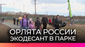 В Веряжском парке «Орлята России» провели субботник