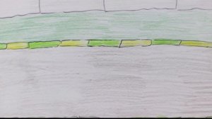 Отпуск Амура