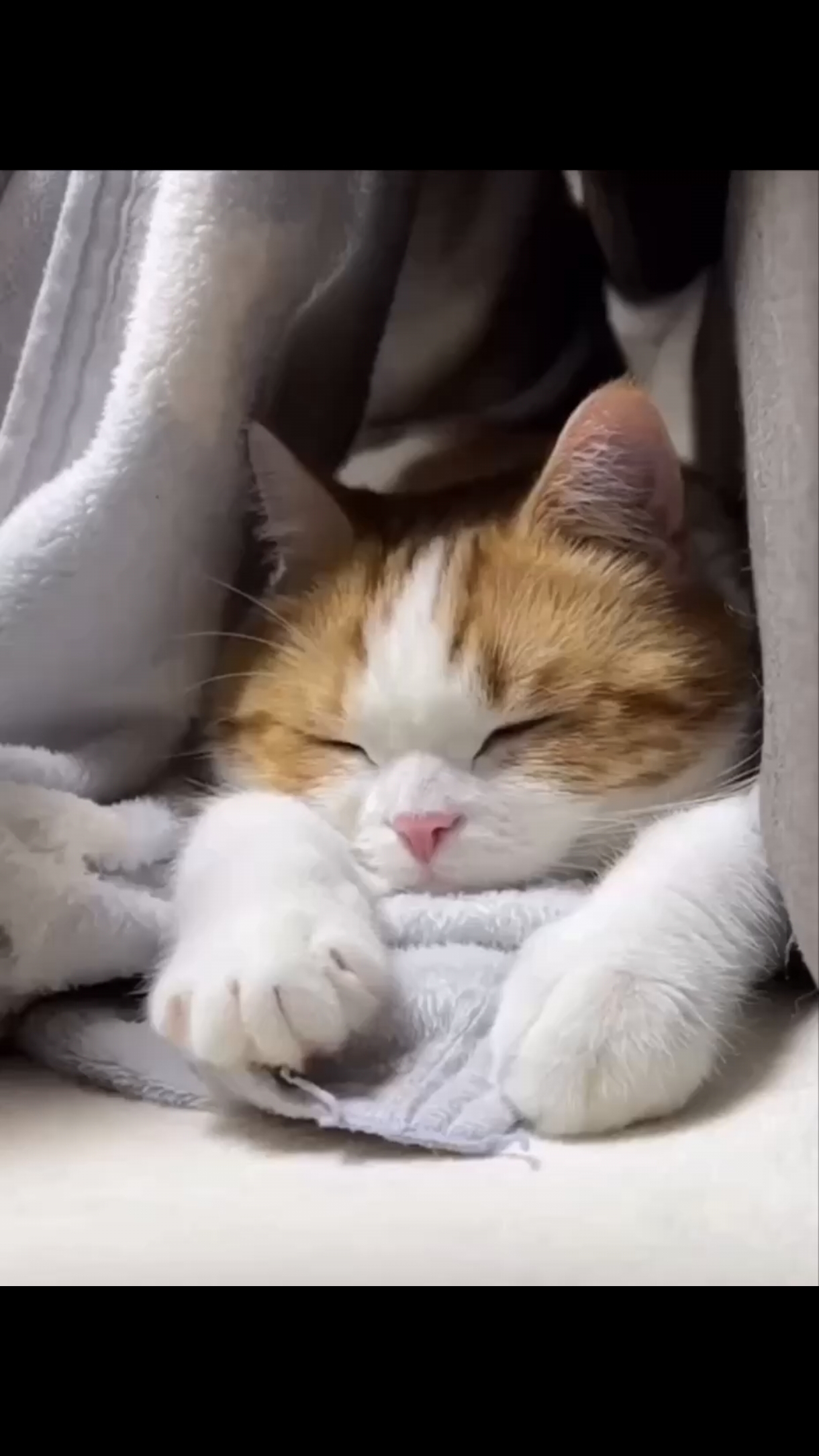 Забота и любовь 😻