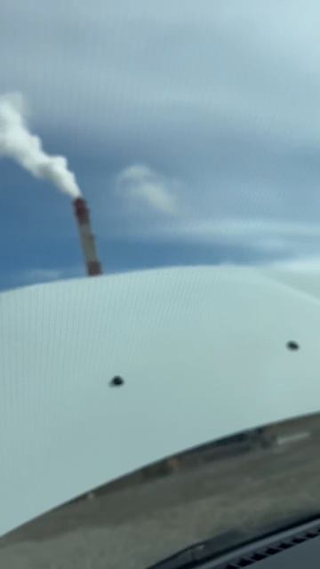 Веста белая