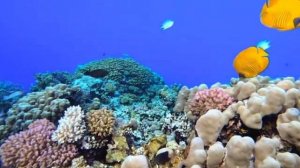 Будь уверен и живи!