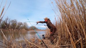 Река в два шага- а рыбы море! В камышах вода кипит: сазан гнёт удочку в дугу, карась топит поплавки!