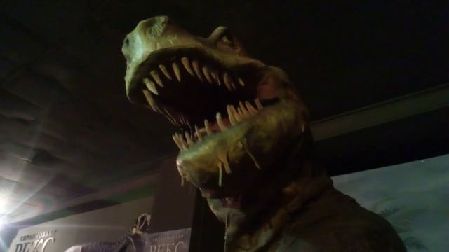 В гости к диназаврам.