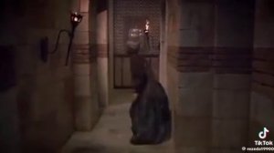 Великолепный век