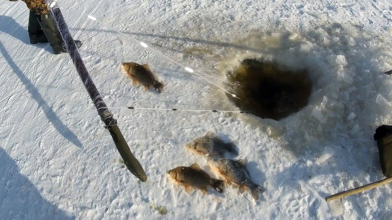 Карась и Щука. Нереально Крутая Зимняя Рыбалка на Амуре. Ловлю Кучу Рыбы Сетями. Рыбалка 2026 Онлайн