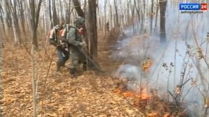 На территории региона введен особый противопожарный режим