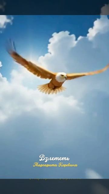 Взлететь. Христианские стихи