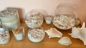 #4. Вы когда-нибудь видели коллекцию песка? Ракушки🐚.Мои интересные кошки. И это все из дерева