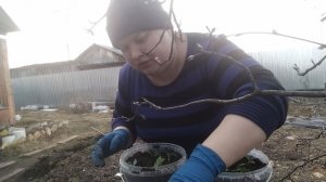 ПРОСТАЯ ЖИЗНЬ 45 //ПИКИРУЮ РАССАДУ //ЖИЗНЬ С ИРИНОЙ//С БЛАГОВЕЩЕНИЕМ!