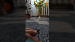 как слепить кошмарного Бонни