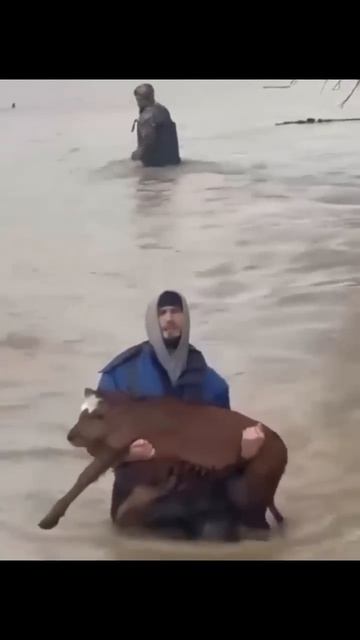 Мой сплоченный Дагестан