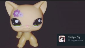 Подпишитесь на Настю!!! ☀️❤️🪻🪻🩷