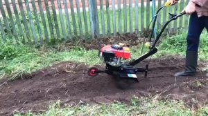 3g1200 мотокультиватор _Земляк_ Красная Звезда на грядке работа вид слева.