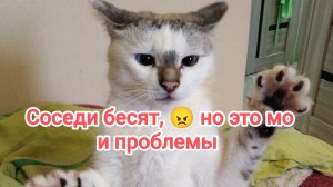 Соседи бесят,но это мои проблемы