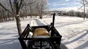 Стадо уменьшается... Морозы отпускают ! ХУТОР В ЛЕСУ №991