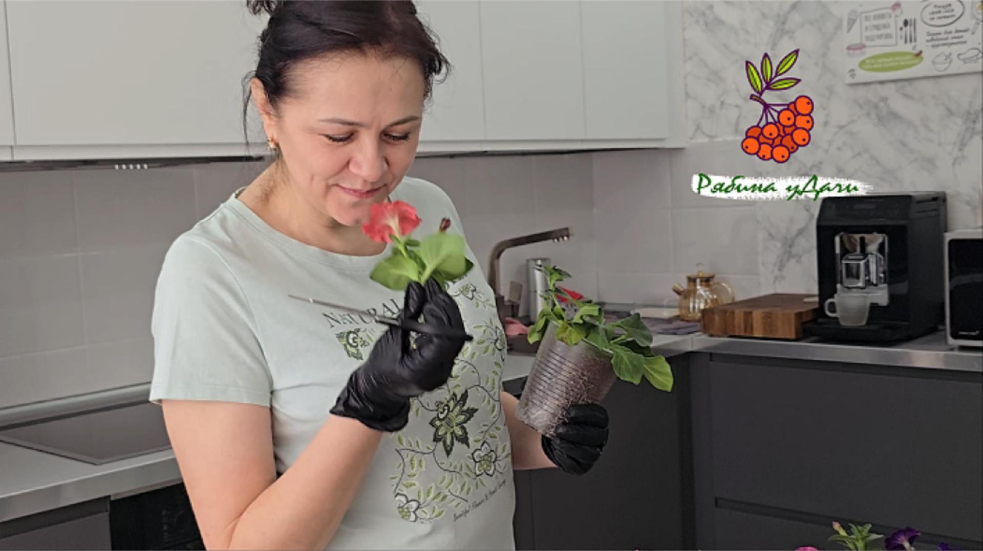 ЗЕЛЁНЫЙ ДЕНЬ: КЛУБНИКА, ПЕРЕЦ, ПЕТУНИИ И МОРЕ ВДОХНОВЕНИЯ