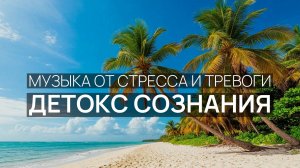 Детокс сознания 🌙 Звуки прибоя 🧘 Лунный свет 🕊️