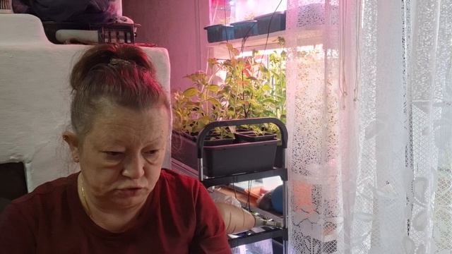 ну так не много на кухне (и о клещах)06.04.26