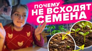 ПОЧЕМУ НЕ ВСХОДЯТ СЕМЕНА