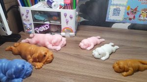 утро со сквишь собачками