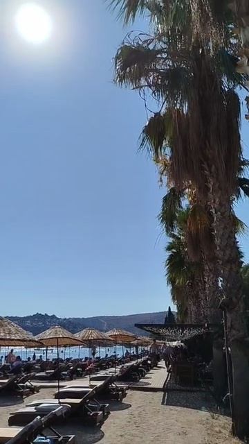 Виды из отеля Шарк клуб и пляж