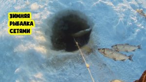 Рыбы Навалом Нереальный Карасёвый Жор Ловлю Сетями Лучшая Зимняя Рыбалка 2026 Русская Рыбалка Онлайн