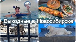 Выходные в Новосибирске.