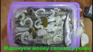 Как замариновать мойву своими руками