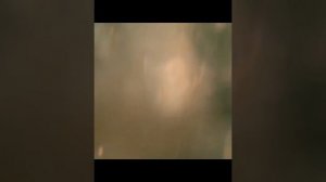 фильм на вечер