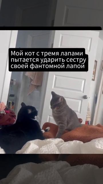 Подписываемся 😉