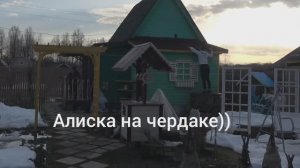 6 соток в конце марта 2026 года. Хроника. Завтра был апрель. Нужная вещь))