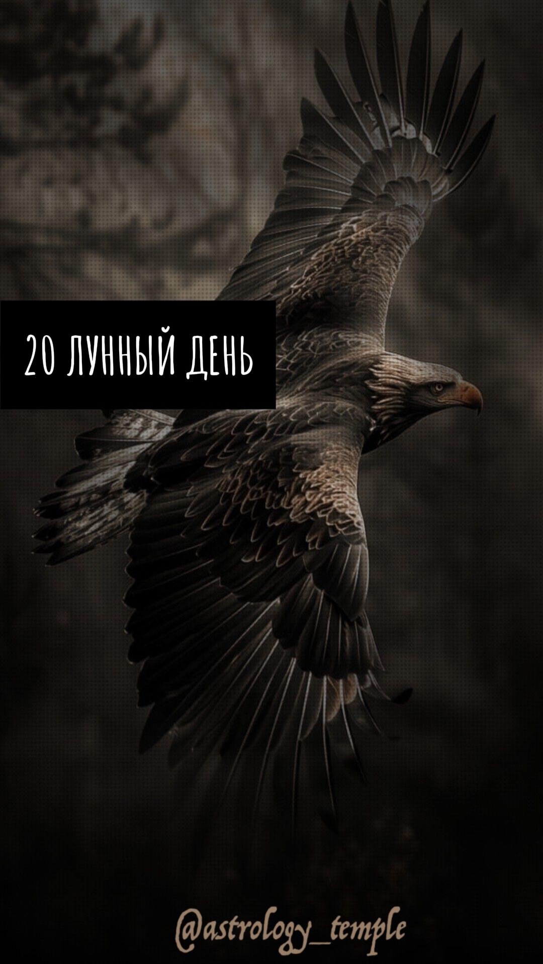 📅 Вторник, 7.04.2026 🌛 20 Лунный день 🌗 Луна в Стрельце (для Стрельцов знаковый день) 🪄