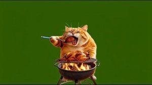 Курица удалась 1_encoded