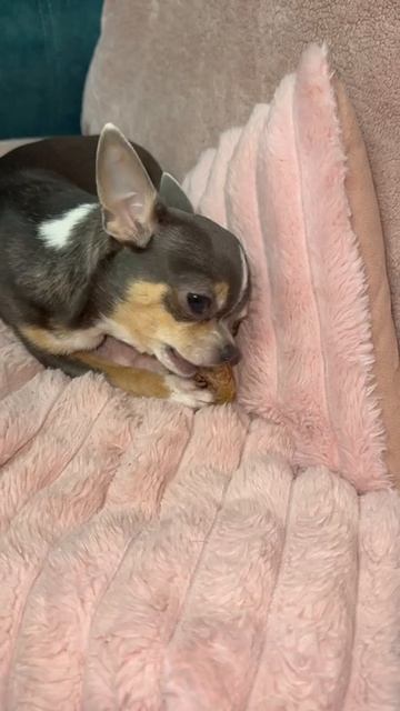 Не хочет делится.