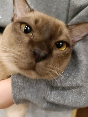 грвм в школу!!!