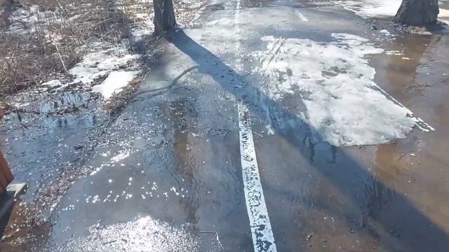 И потекли ручьи .Эко -парк Гремячая грива.Красноярск