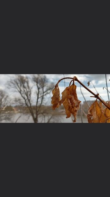 Весна на набережной водоёма, прогулка удалась 😎👍 

С телефона📱
#весна #апрель #природа #утро #прогул