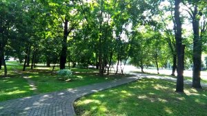 Тестовая трансляция