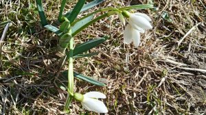 Видео привет с Апрельской дачи