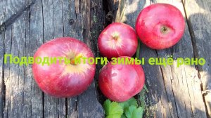 подводить итоги зимы пока рано