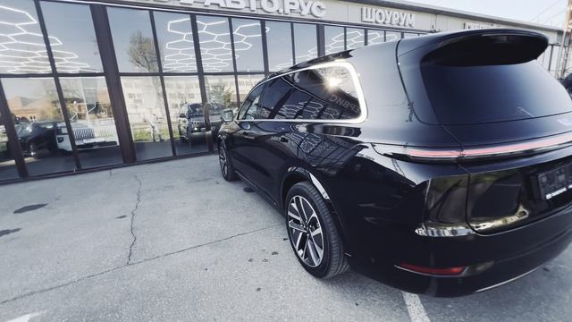 Л9 Черный на Рыжем