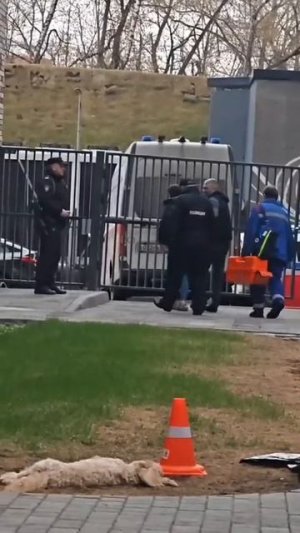 Это невозможно читать спокойно.
Москва. 

ЖК бизнес-класса «Level Причальный». Камеры наблюдения