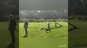 Дрессировка 6