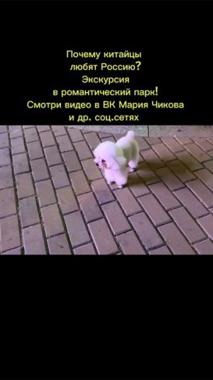 Китай