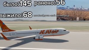 49-ая авиакотострофа