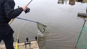 VID_20260406_105541_487