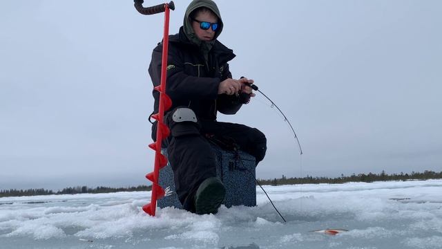 Весенний клев 😁🤝🔥😎🤘