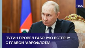 Путин провел рабочую встречу с главой "Аэрофлота"