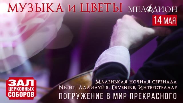 «Музыка и цветы» Погружение в мир прекрасного смотреть онлайн